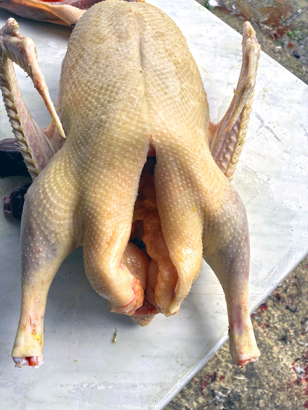 Doğal ve Taze Temizlenmiş Bütün Kaz (4 - 4.5 kg)